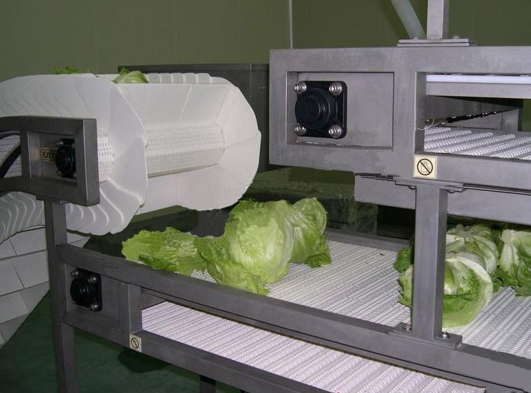 蔬菜清洗生产线